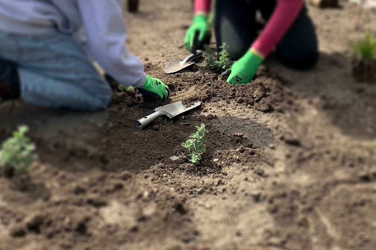 Girls Day 2023 bei Schuler