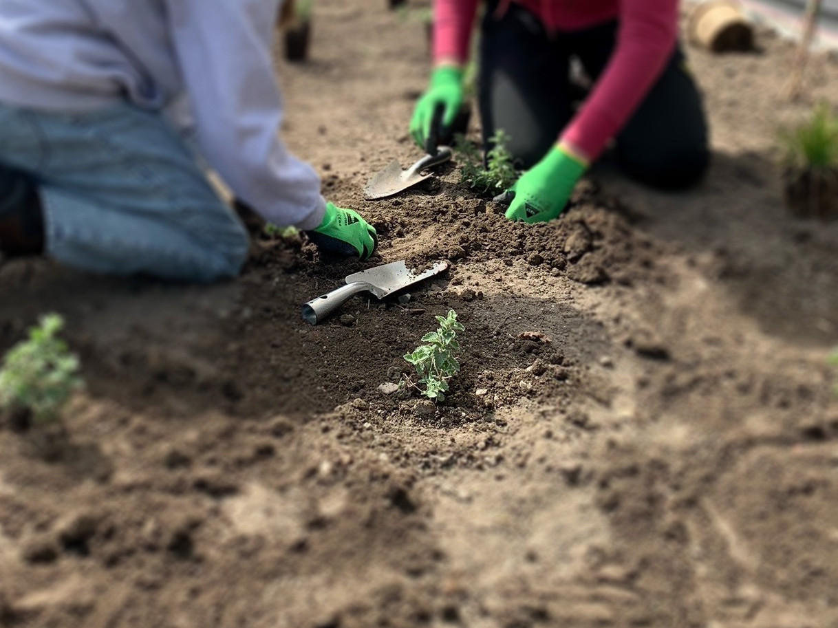 Girls Day 2023 bei Schuler