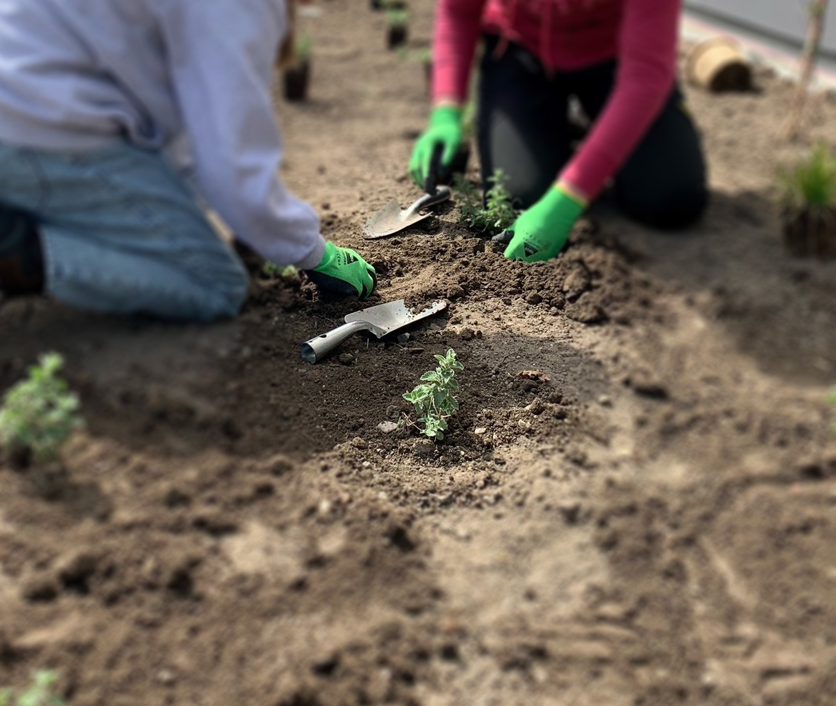 Girls Day 2023 bei Schuler