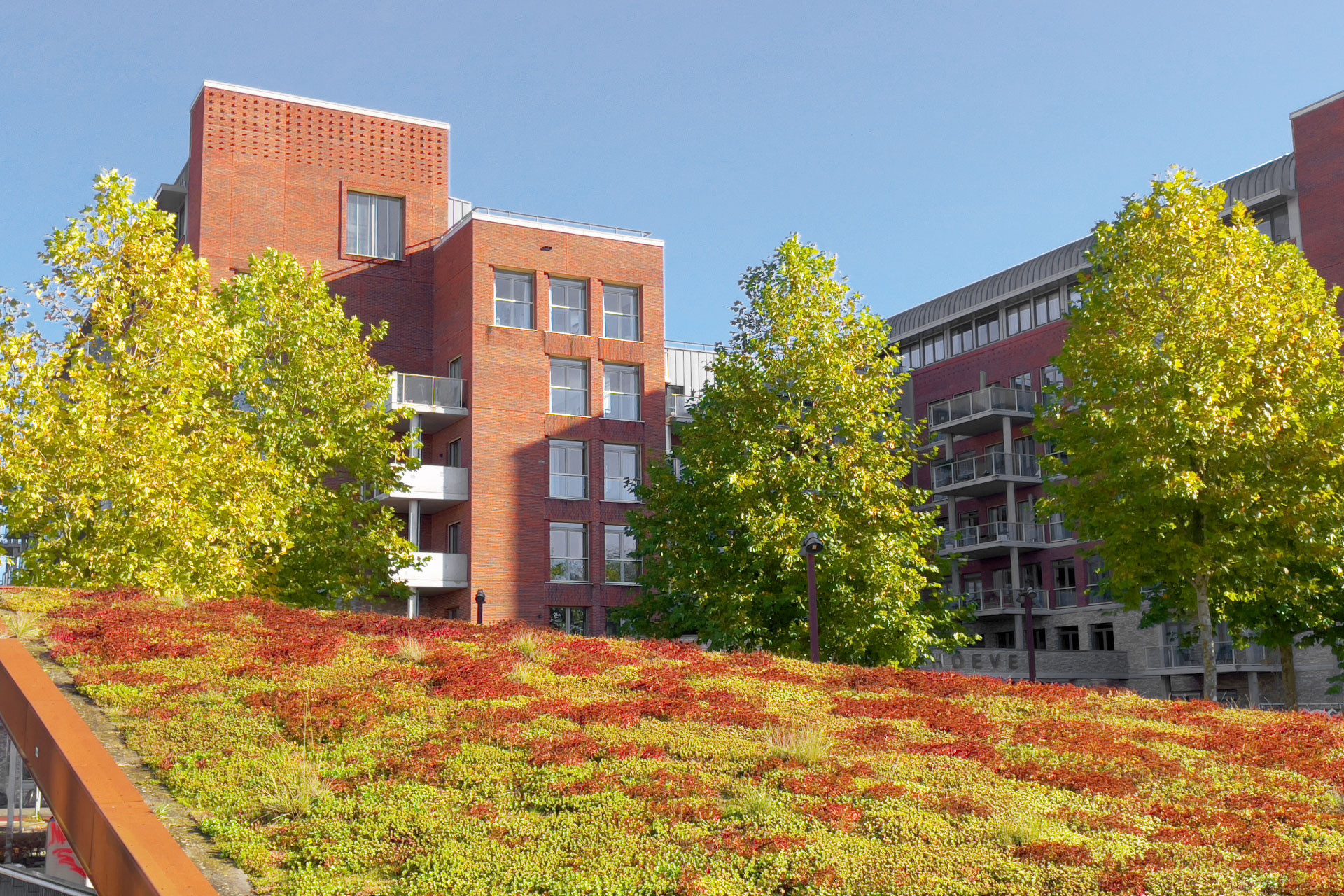 Dach- und Fassadenbegrünung