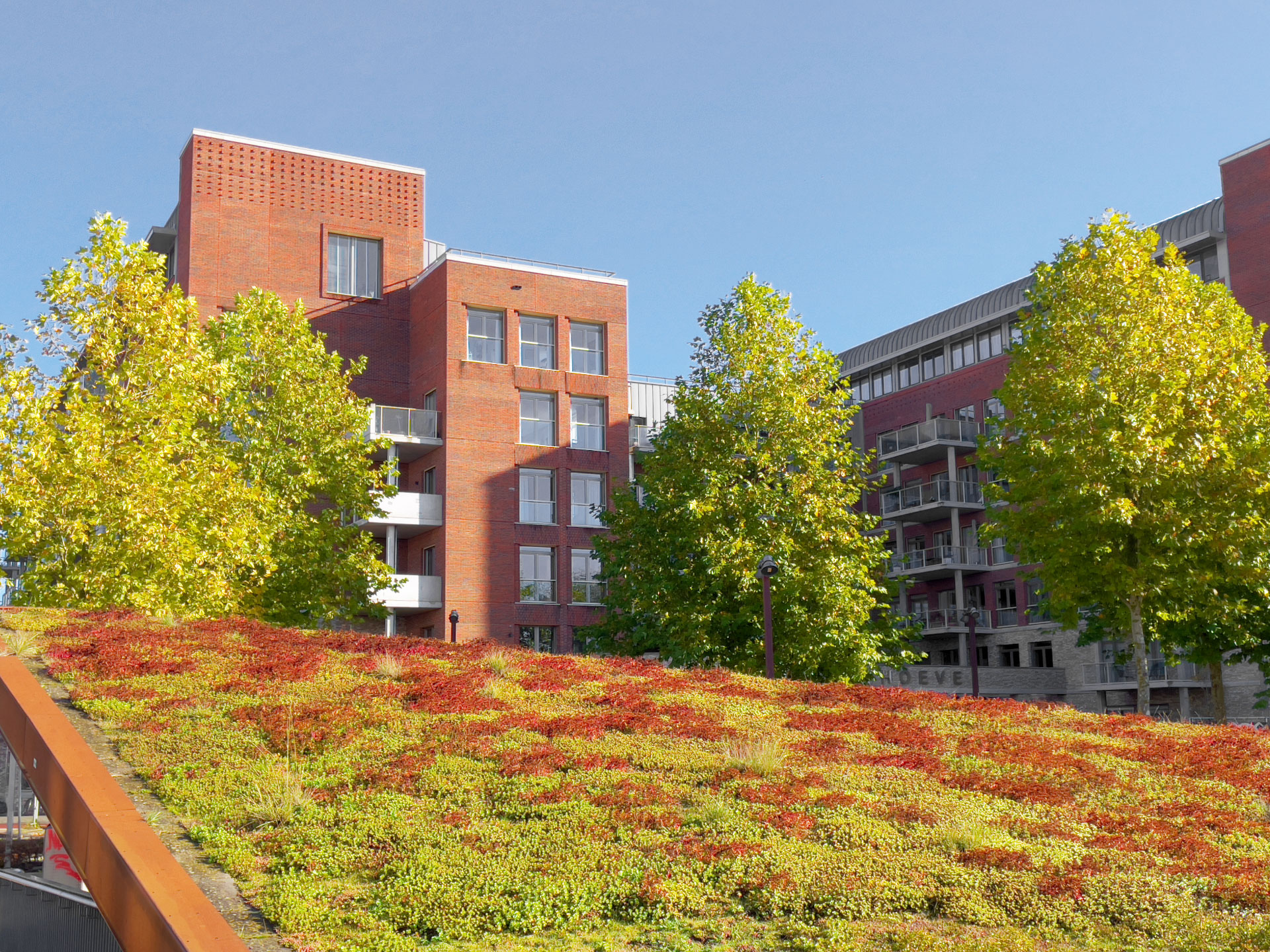 Dach- und Fassadenbegrünung