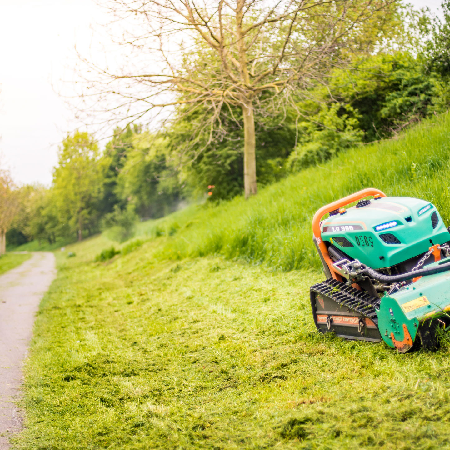 Extensive Gr&uuml;npflege