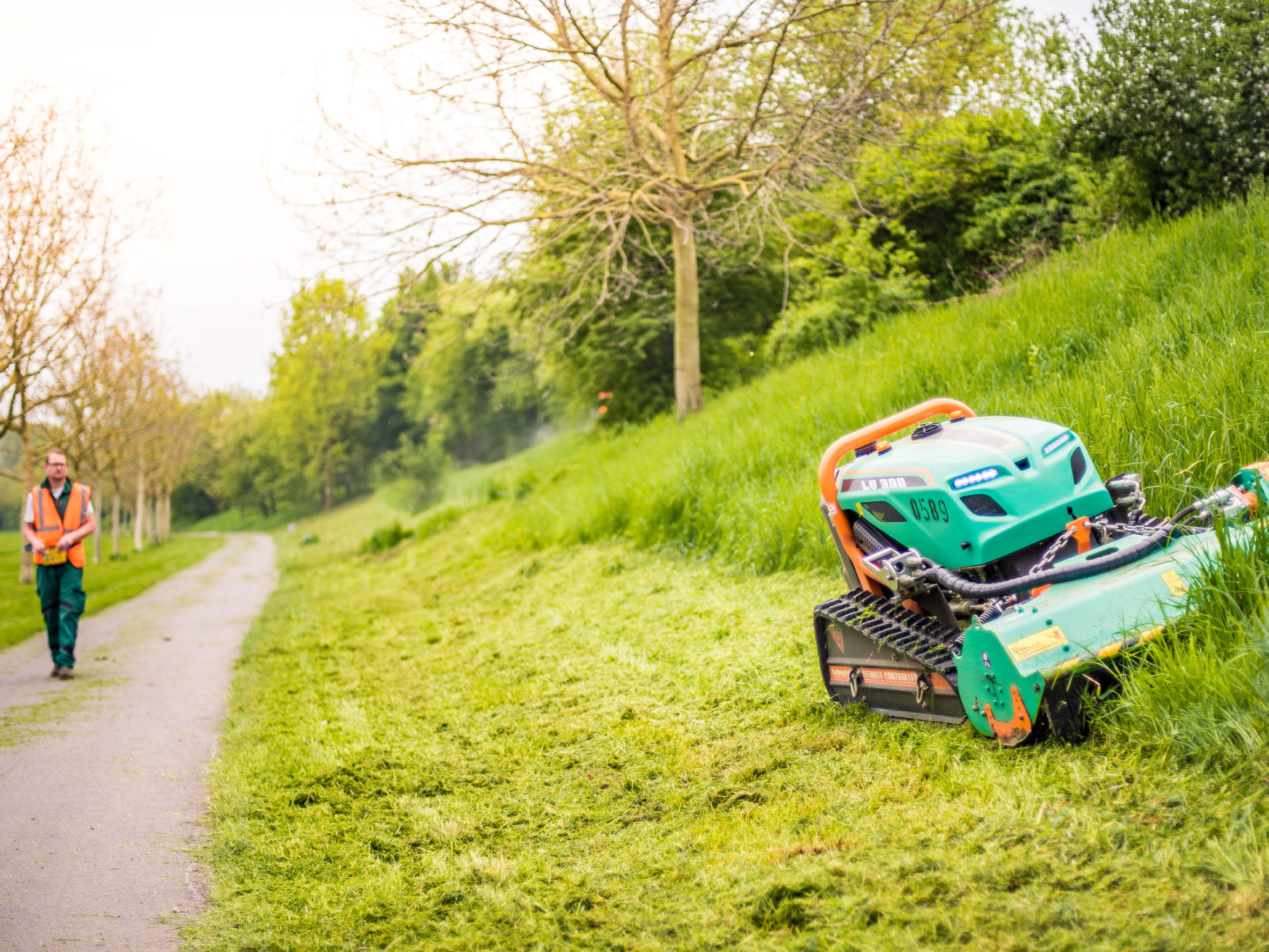 Extensive Grünpflege