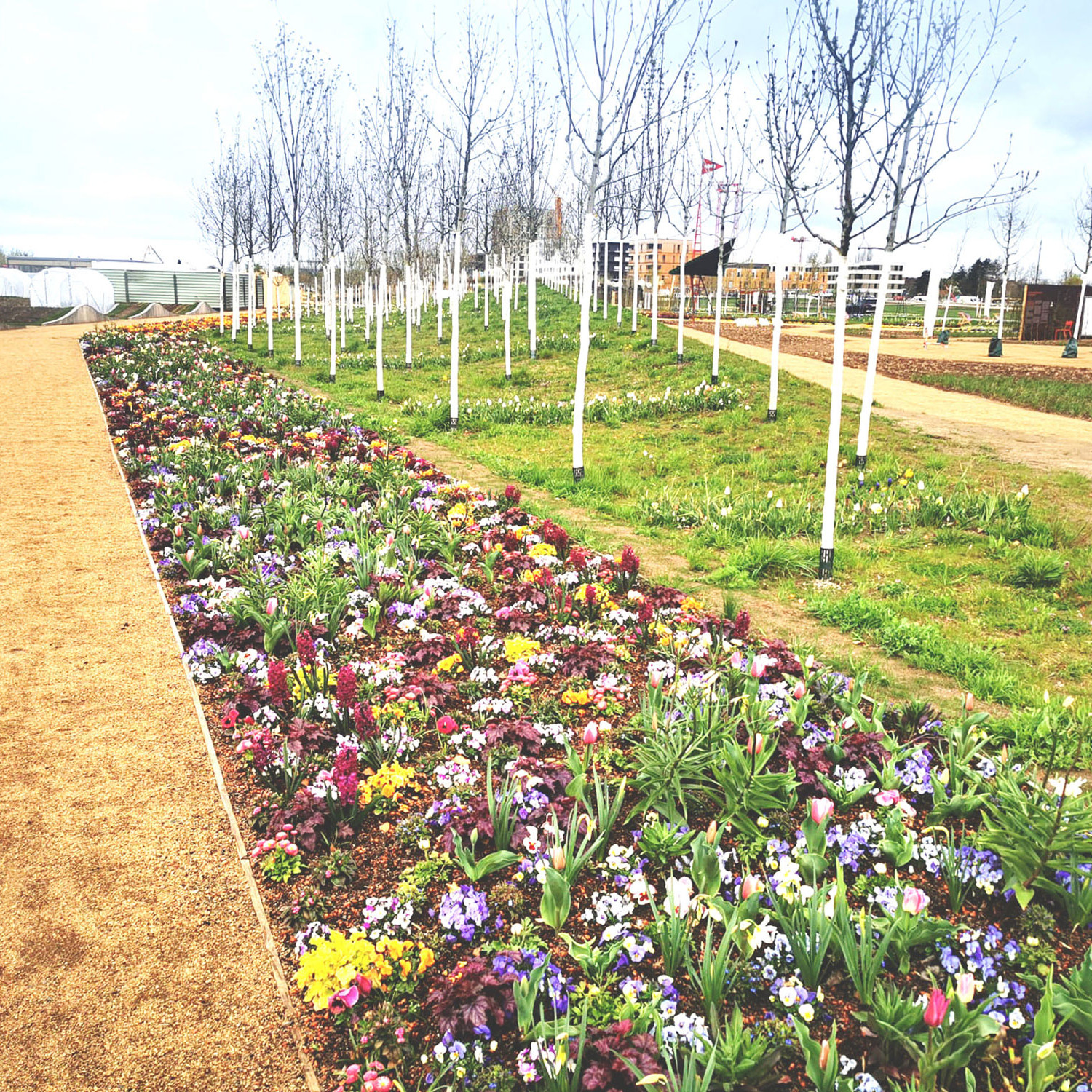 Bundes- und Landesgartenschauen