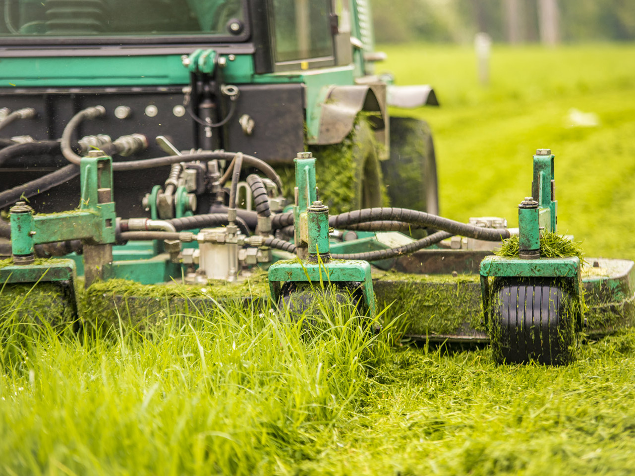 Profis im Bereich Grau- und Gr&uuml;npflege