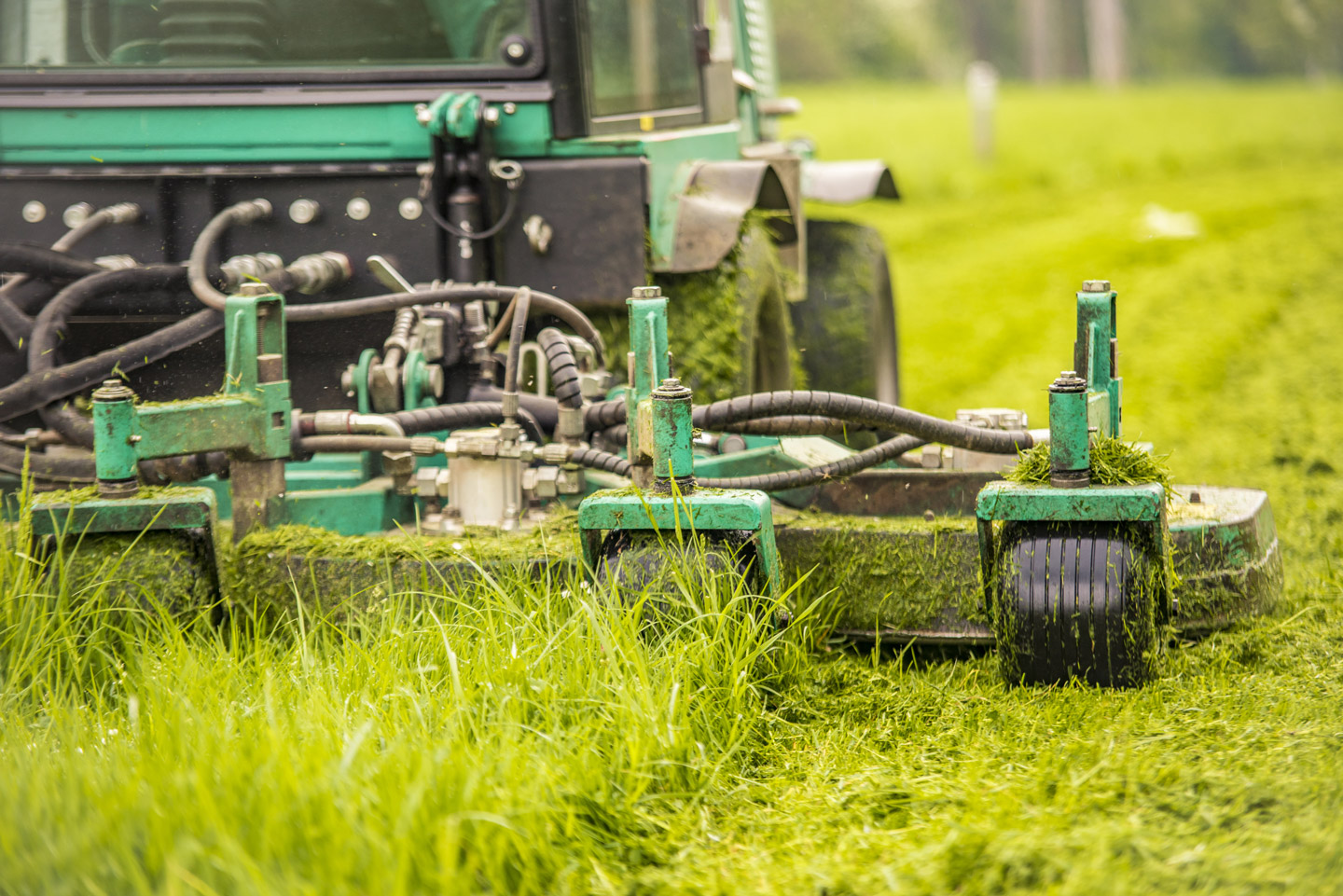 Profis im Bereich Grau- und Gr&uuml;npflege