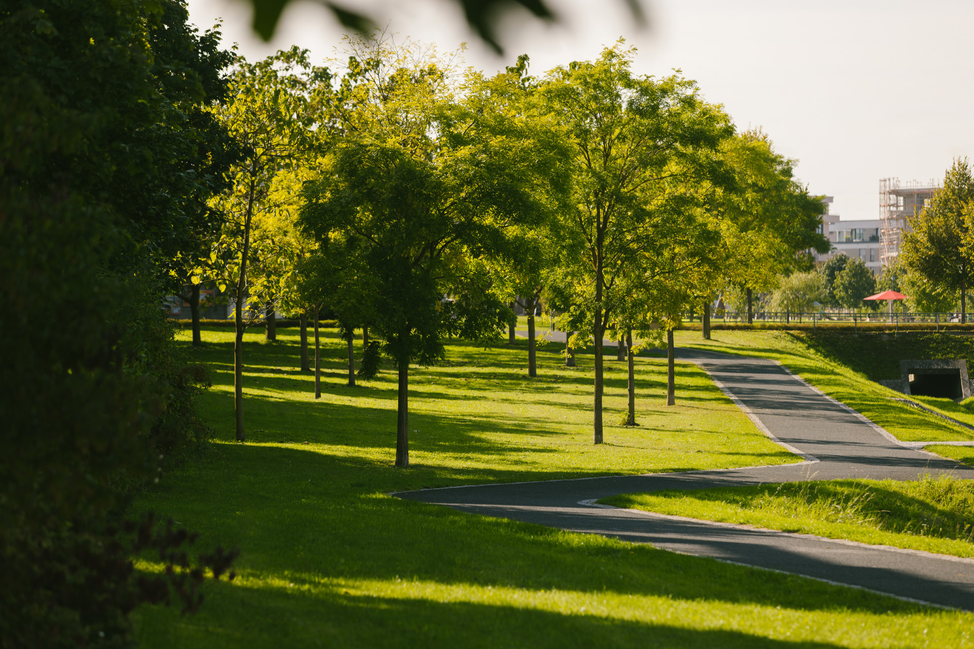 Grau- & Gr&uuml;npflege