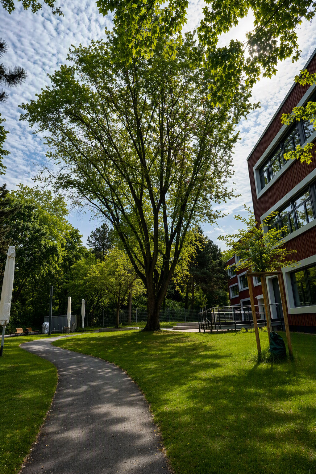 Christoph-Graupner-Schule, Darmstadt